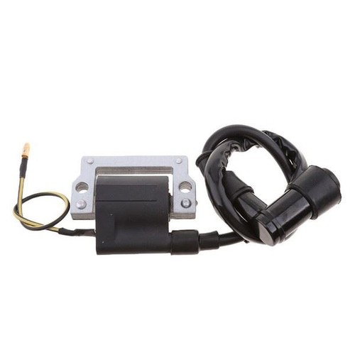 Ignition for lb50 125 - ignition,