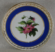 MAGNIFICENT BOTANICAL PLATE PARIS PORCELAIN FOECY LOUIS PILLIVUYT 1830-40