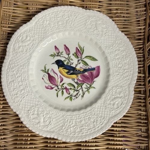 Vintage royal cauldon plate - vintage,