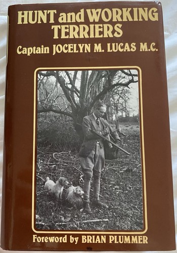 Hunt and working terriers - hunt,
