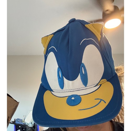 Sonic the hedgehog blue - the,
