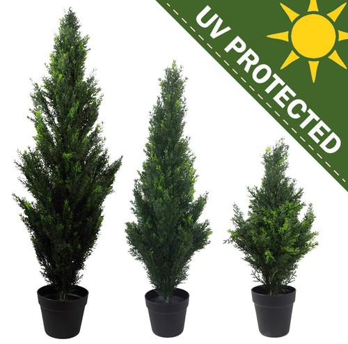 Topiary trees outdoor - trees,
