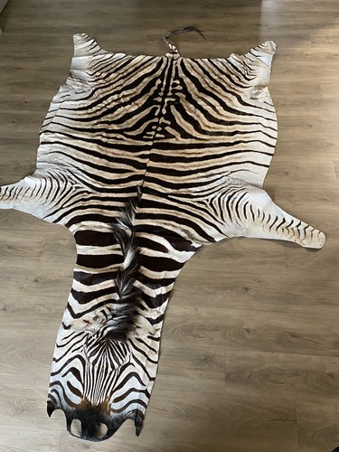 Zebra real skin rug hide - real,