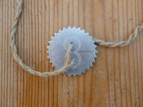 Whirligig buzzer toy - whirligig,