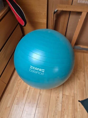 Core balance ball gym - balance,