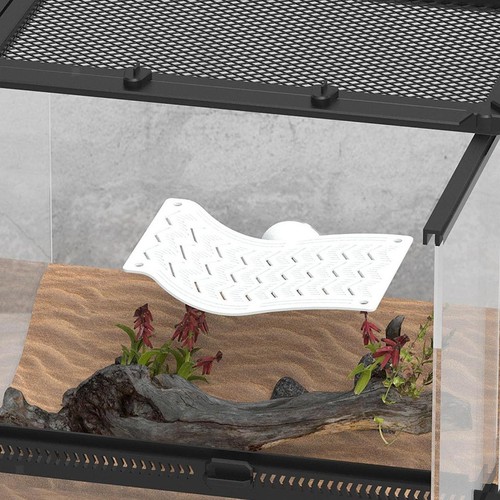 Reptile hammock bearded dragon - reptile,