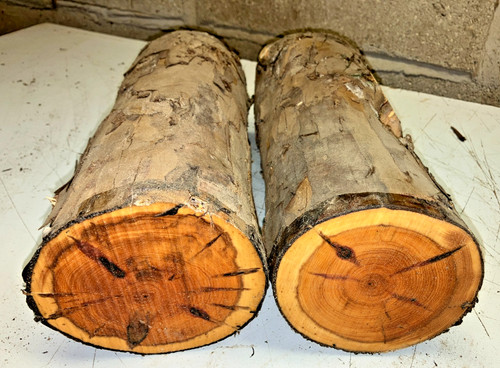 100 120mm diameter 2pcs lot - 100-120mm,