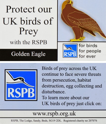 Rspb pin badge - badge, special
