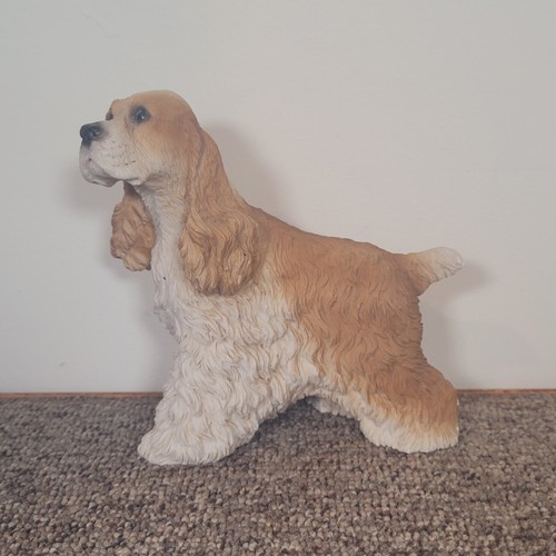 Castagna cocker spaniel - castagna, dog