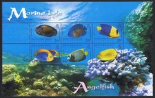 BIOT Angelfish Marine Life 1st