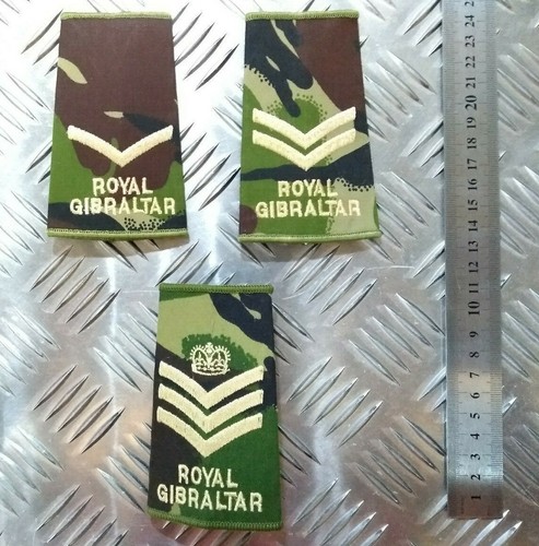 Army rank slide - rank, woodland