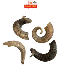 Premium Natural Lamb Lamb's