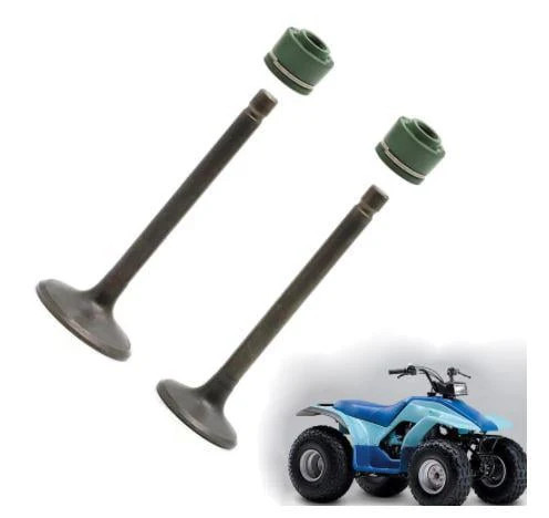 Valve intake exhaust - valve, &