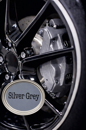 Silver grey gloss enamel heat - grey,