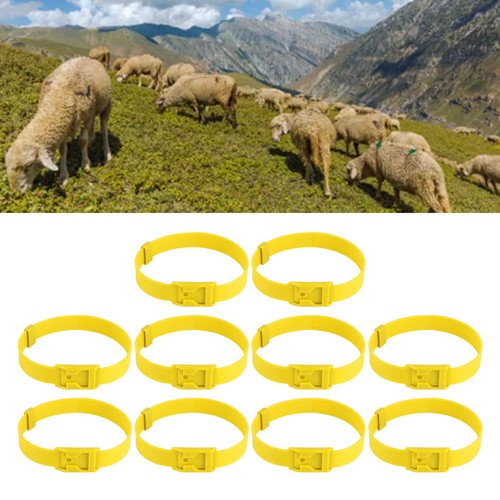 Goat collar 10pcs livestock - goat,