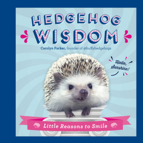 Hedgehog wisdom little - wisdom:,