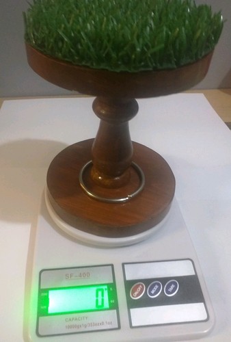 Falconry digital scale made - digital,
