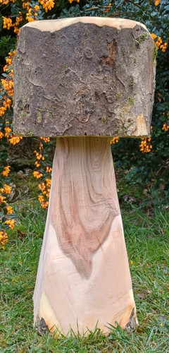 Mushroom stool solid - , wood