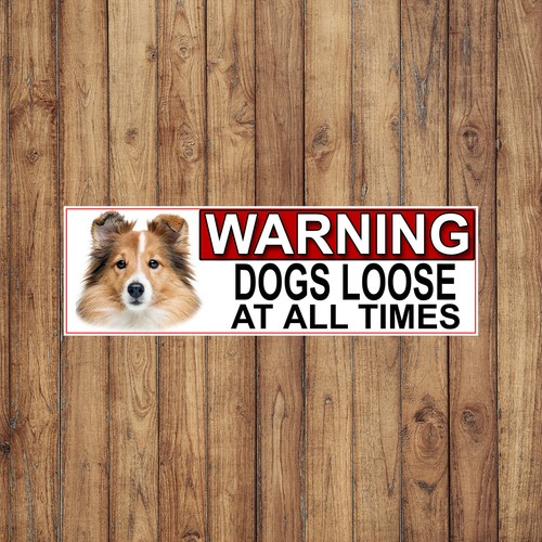 Shetland sheep dog warning - shetland,