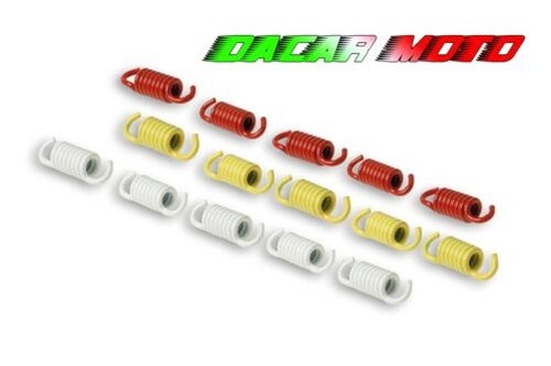 Clutch spring set malossi - clutch,