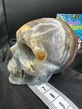 Crystal Skull RARE Ocean Jasper Carving Healing Gemstone Skulls Large  3414
