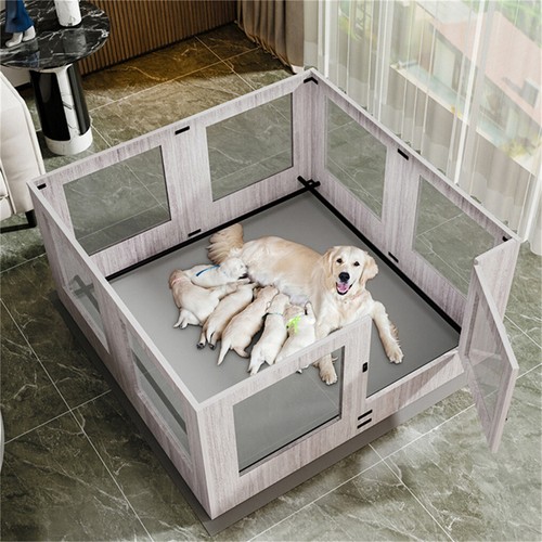 Tempered glass pet - tempered, playpen