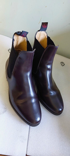 Regent leather horse riding - horse,