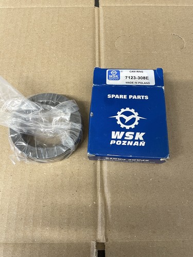 Cav dpa cam ring - ring, 7123-308e