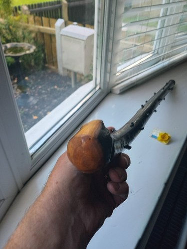 Irish blackthorn stick 34 - stick,