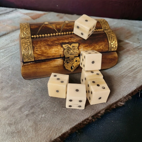 Rare unique camel bone d6 - camel,