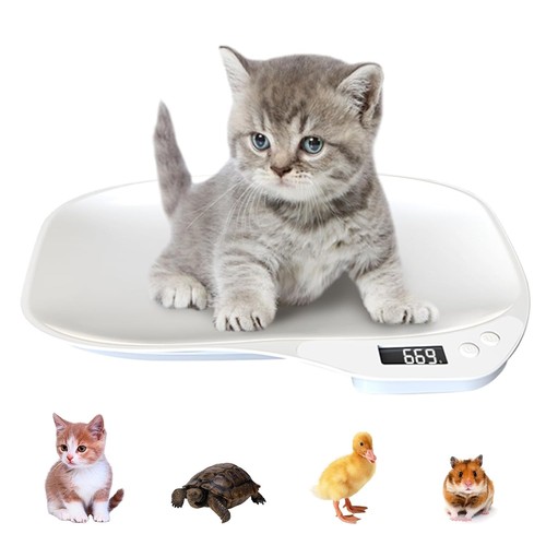Pet scales for small animals - pet,