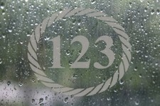 ROPED FROST ETCHED DOOR