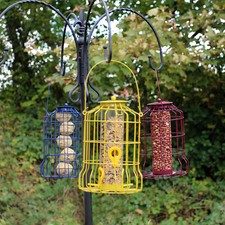 Wild Bird Feeder 3pcs Seed Nut