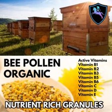 Raw BEE Pollen Granules 500g