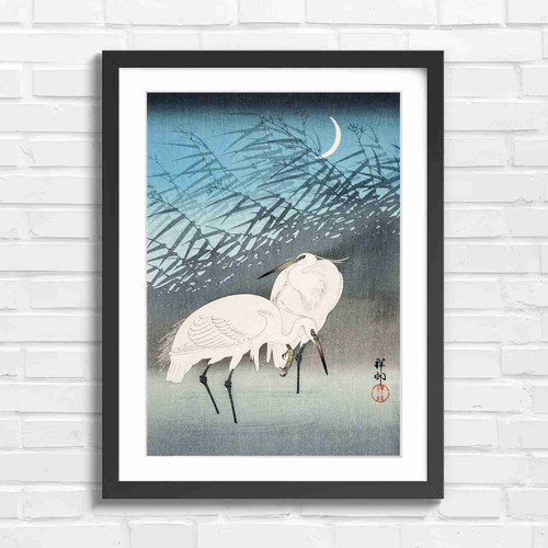Japanese white egrets moon art - white,