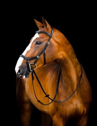 Horseware micklem deluxe - micklem,
