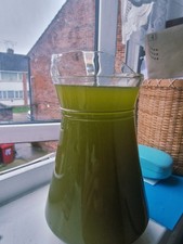 Fresh Tunisian Olive Oil 100%