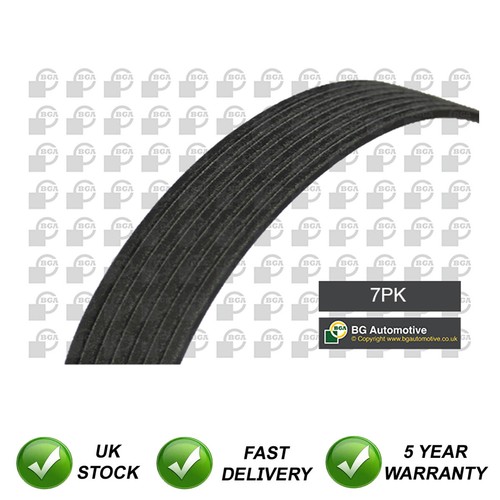 Alternator belt sjr fits - alternator,