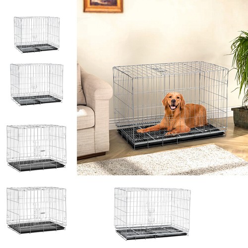 Small medium dog puppy - medium,