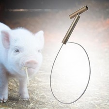 Pig Holder Hog Catcher