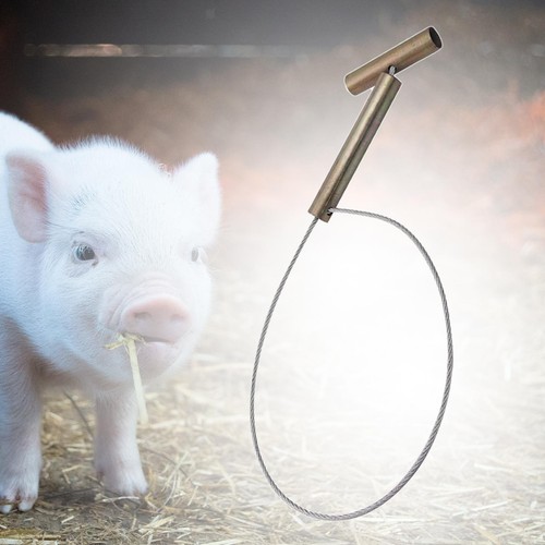 Pig holder hog catcher - pig,