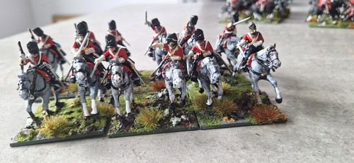 28mm napoleonic scotts greys - 28mm,
