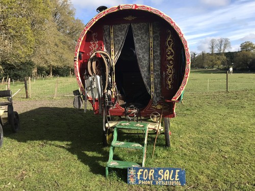 Bow top gypsy - gypsy, caravan