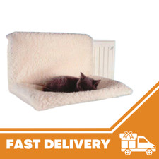 Cat Kitten Hanging Radiator