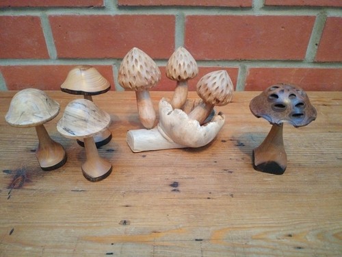 Bundle wooden strawberry - bundle,