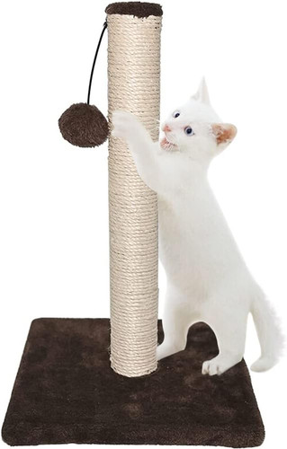 Ram large cat scratching - cat,