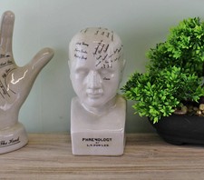 Phrenology Head Bust Scuplpture Ornament Ceramic Home Decor White Small 19cm