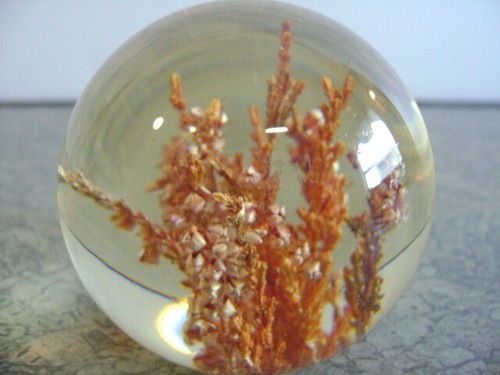Hafod grange lucite - hafod,