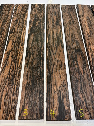 Pale moon ebony acoustic - pale, /