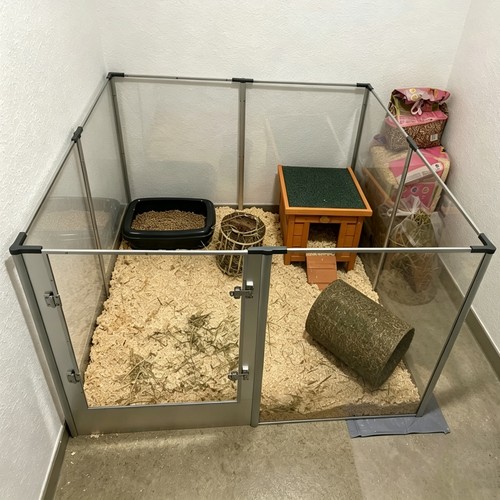 Xxl large dog - xxl,